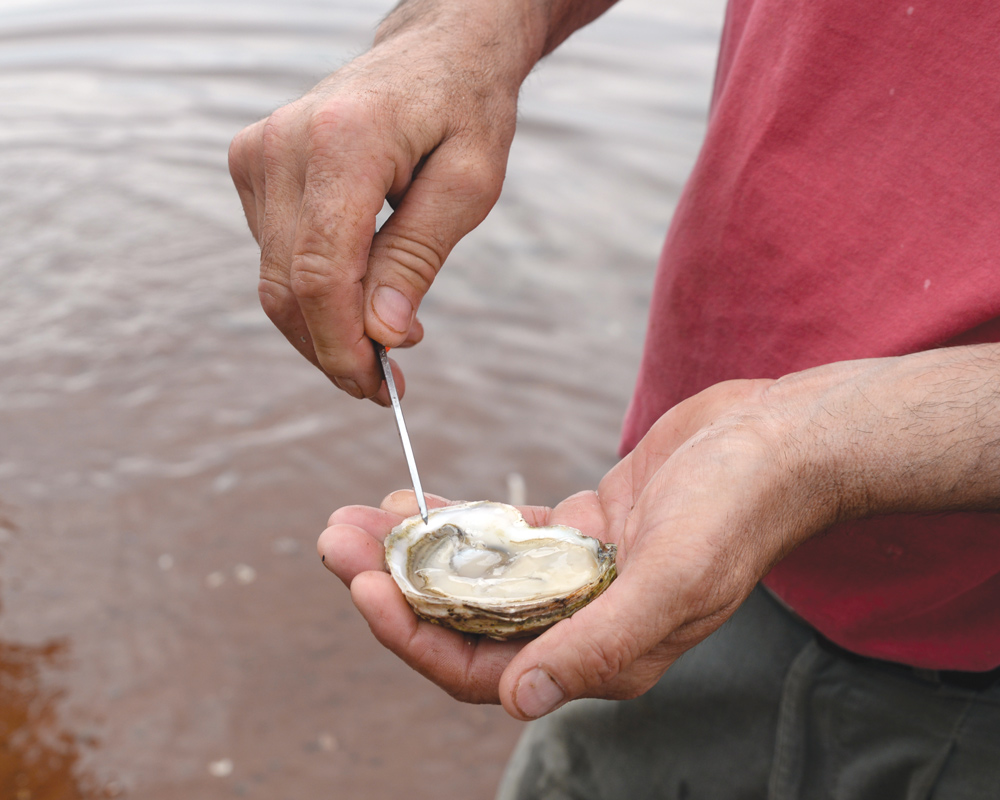 #PEIfun PEI in social media