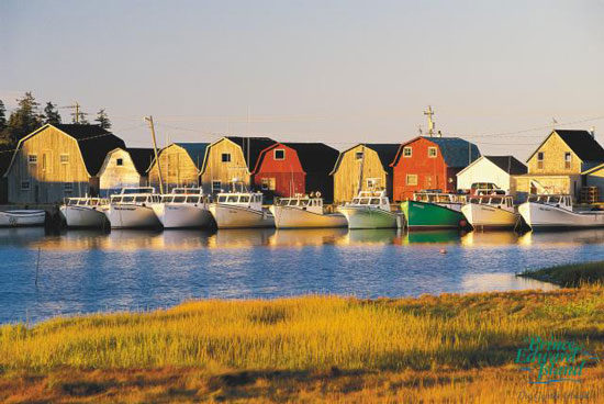 #PEIfun PEI in social media